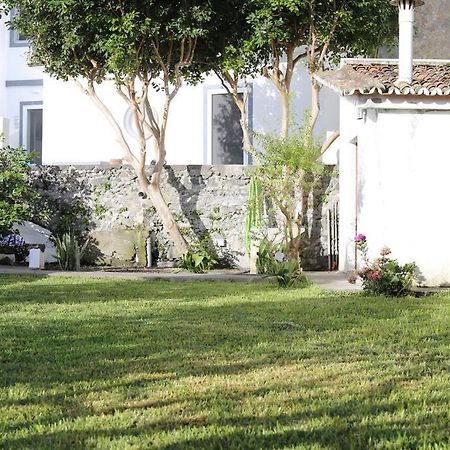 City Center, 200 Meters To Marina, Walk To Everything, Private Yard And Garden Πόντα Ντελγκάντα Εξωτερικό φωτογραφία