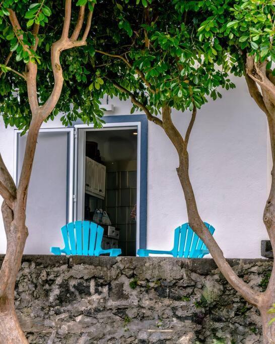 City Center, 200 Meters To Marina, Walk To Everything, Private Yard And Garden Πόντα Ντελγκάντα Εξωτερικό φωτογραφία